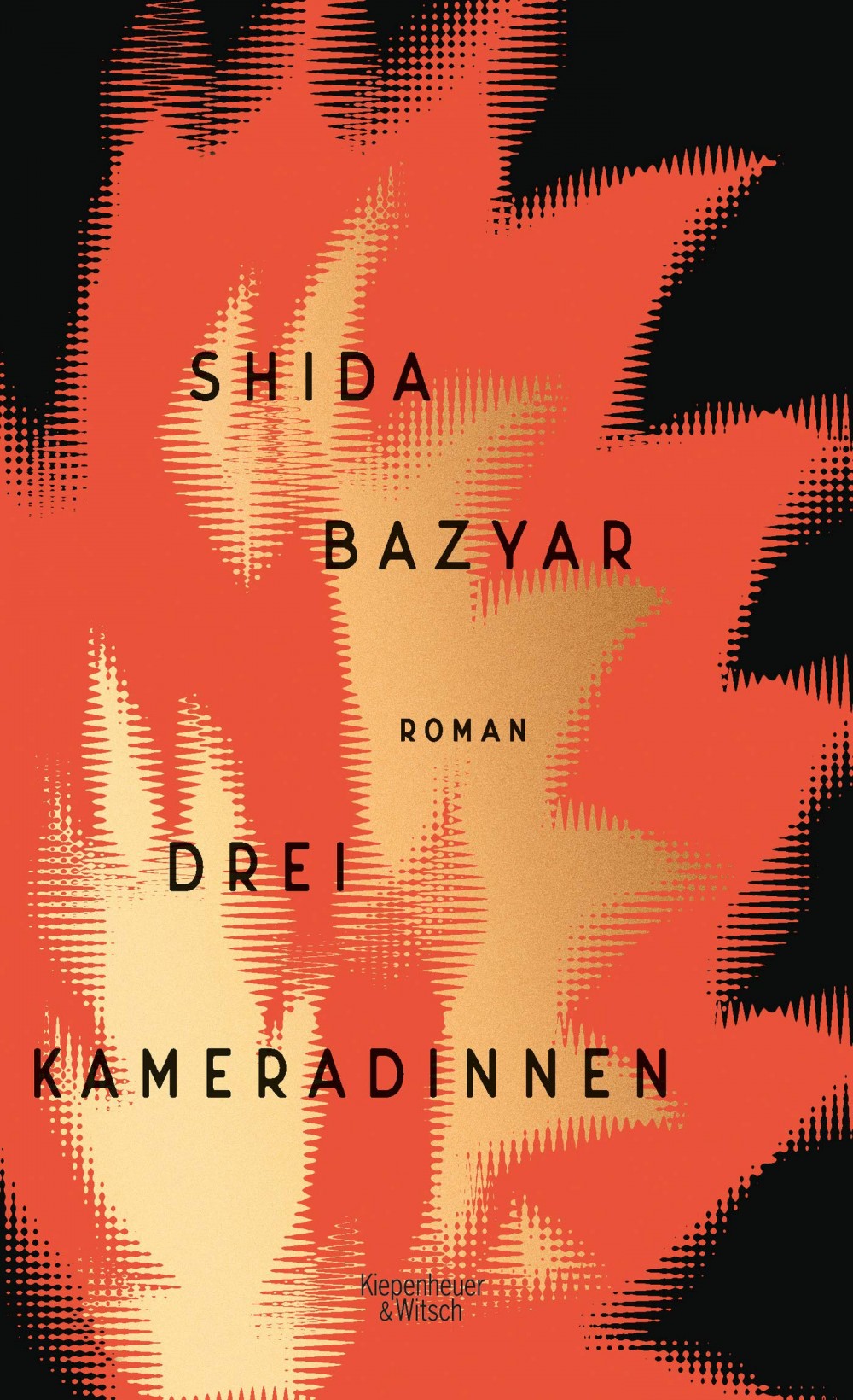 Shida Bazyar, Drei Kameradinnen